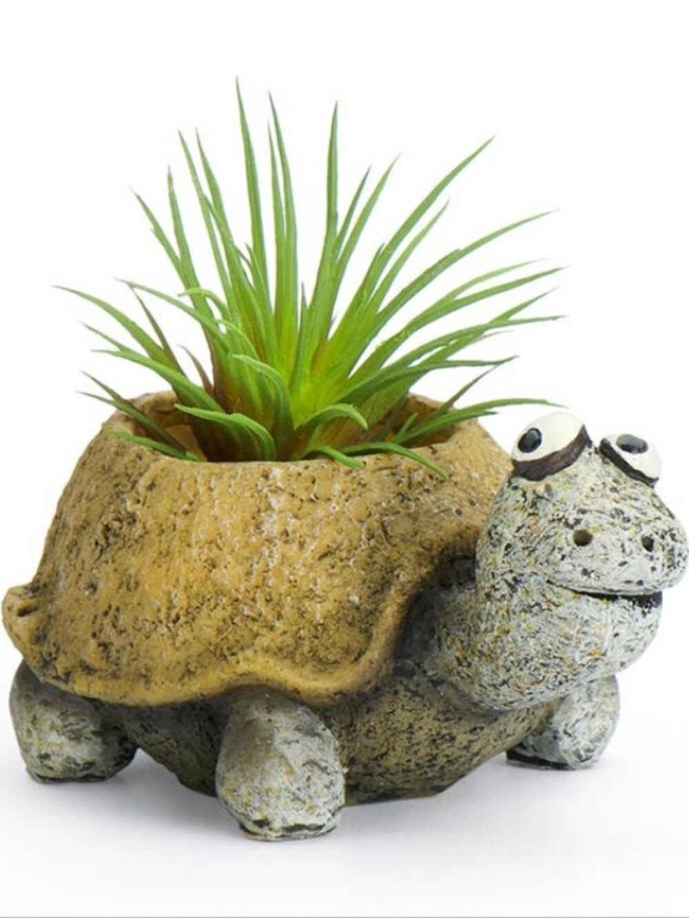 Baby Preston the Tortoise Planter Pot